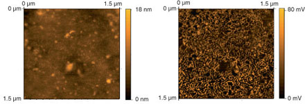 phase imaging example