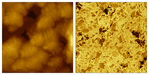 Phase imaging of polymer blend