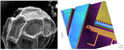 Example images from and SEM and AFM showing pepper grain and microcicuits