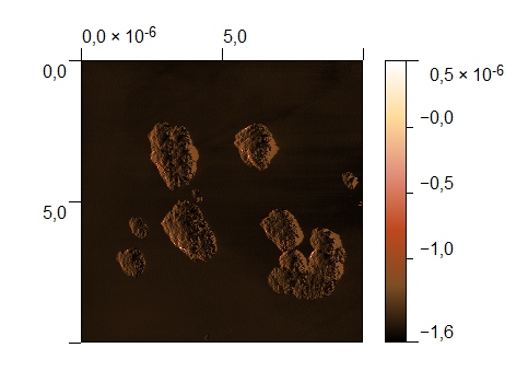 afm_scan_2011-01-24_03.22.11 10um 256 pixels right